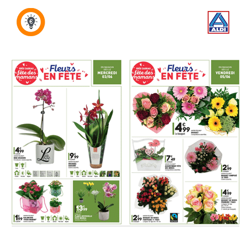 Des fleurs pour la fête des mères à partir de 1,99€ – SmartConso